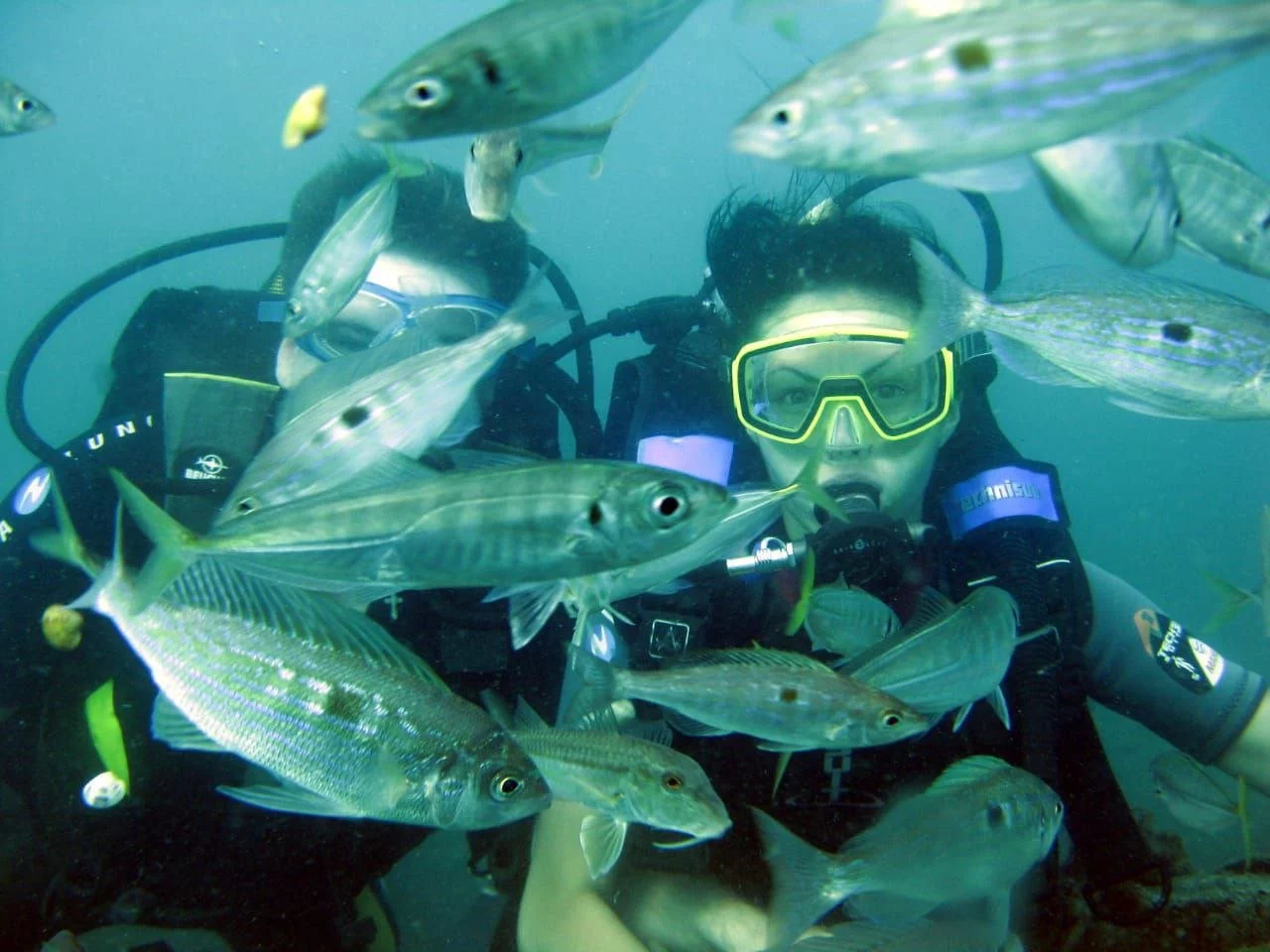 Дайвинг в Адлере