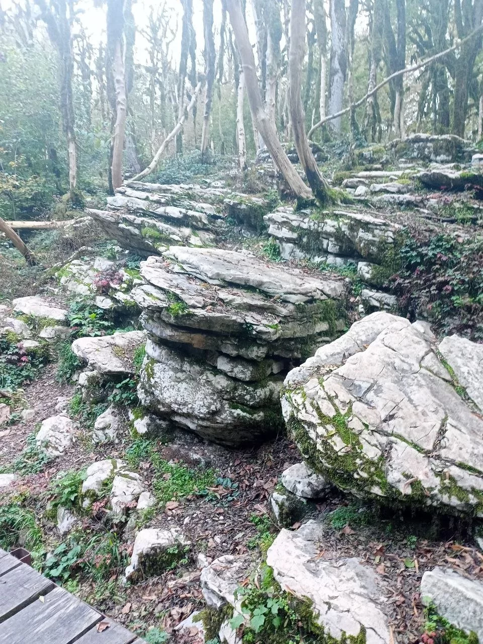 Каньон Псахо